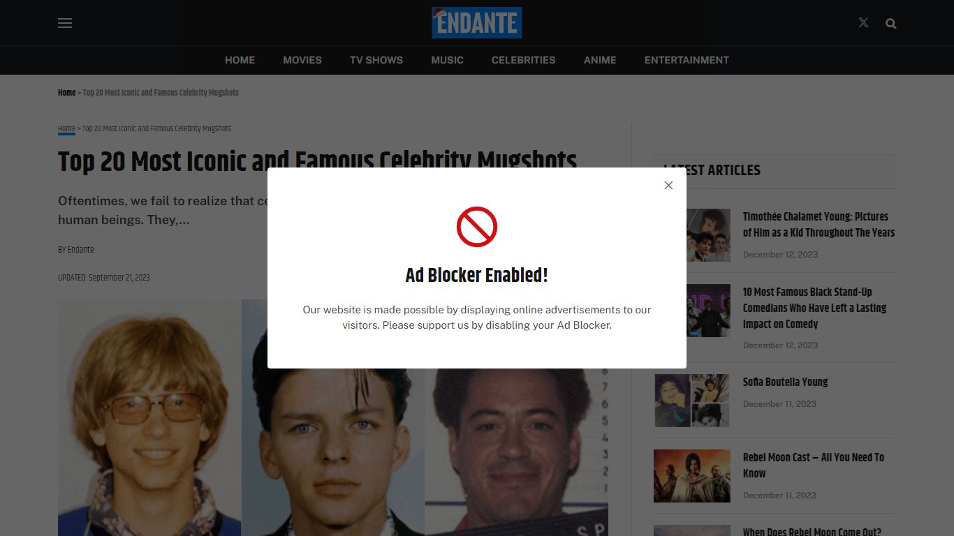 Top 20 Most Iconic and Famous Celebrity Mugshots - Endante